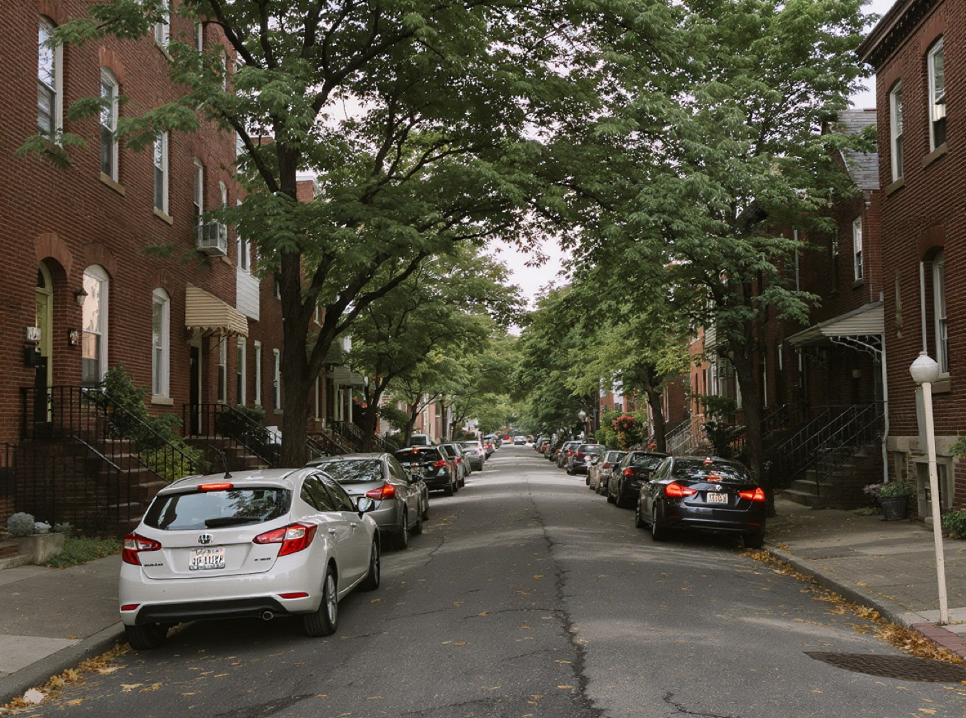 Tree lined South Philadelphia street with brick row homes